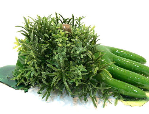 Master Class BECOMING PLANT: The New Weird Divine by Jasmine Reimer