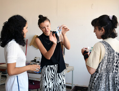 Lecture CURATING IN THE ANTHROPOCENE by Vanina Saracino