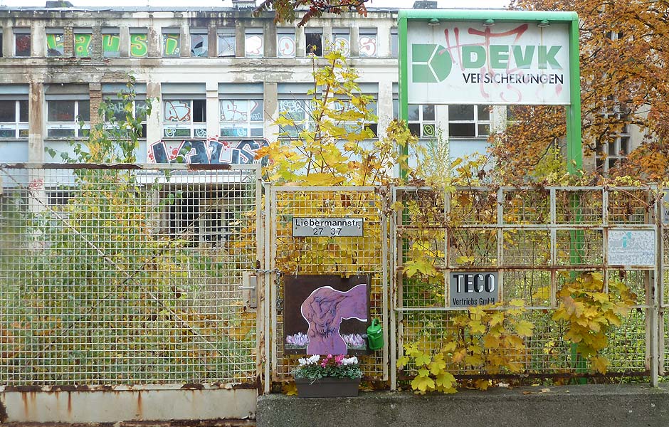 INSURANCE FOR A NEW BEGINNING by Ghada Abaza