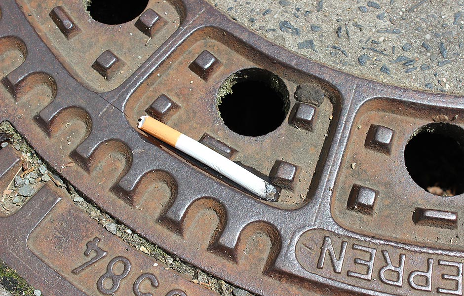 ¿giwT von Tara Bewley