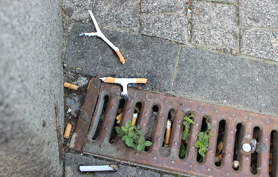 ¿giwT von Tara Bewley