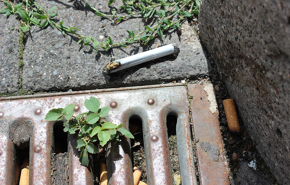 ¿giwT von Tara Bewley