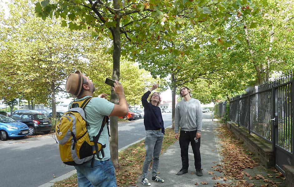 Seminar COLLAGE GOES PAINTING von Katrin Plavčak