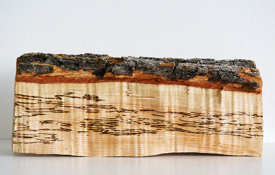 Diane Drubay @ BERLIN ART INSTITUTE