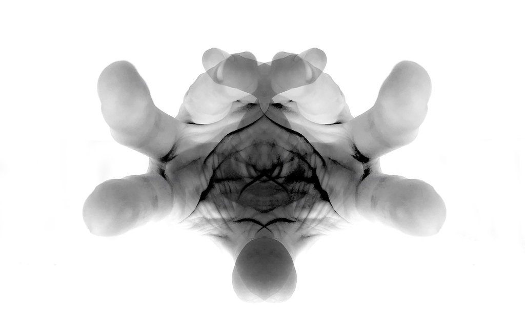 Online-Seminar THE ROYAL ROAD TO THE (sub)CONSCIOUS von Emma Waltraud Howes