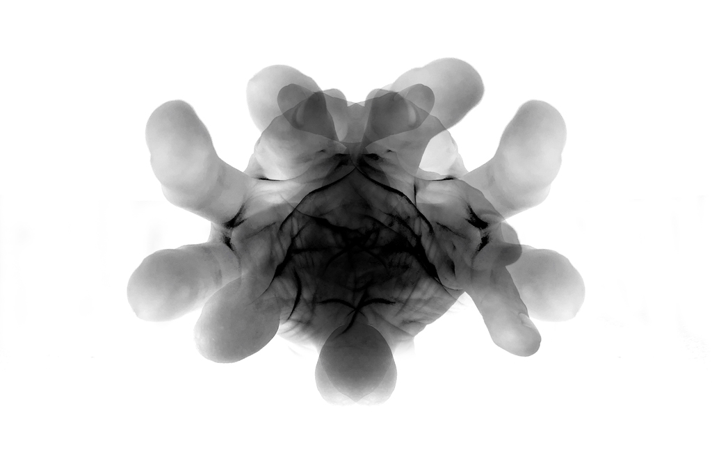 Online-Seminar THE ROYAL ROAD TO THE (sub)CONSCIOUS von Emma Waltraud Howes